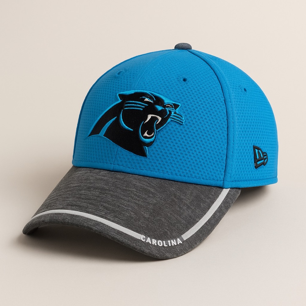 Carolina Panthers Blue and Gray Cap